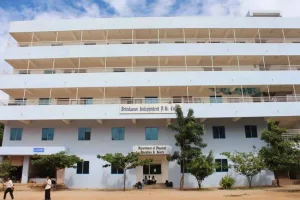 Brindha ploytech